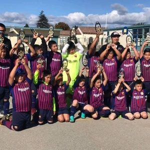 Meet your Posher, Martin